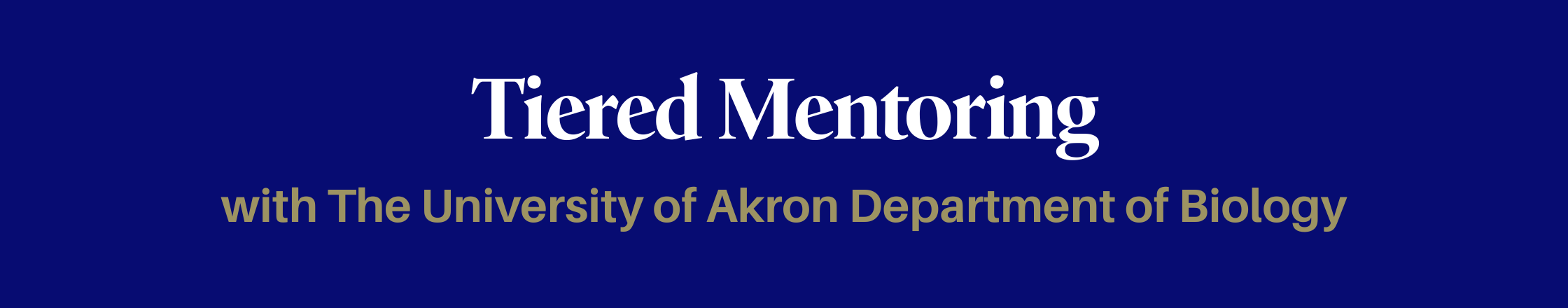 Tiered Mentoring .png